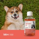 LAB-V Lab-V Olej Z Łososia 100% Dla Psa I Kota W Każdym Wieku 250ml