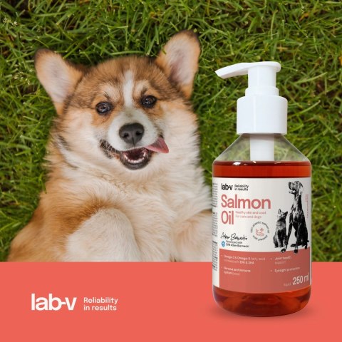 LAB-V Lab-V Olej Z Łososia 100% Dla Psa I Kota W Każdym Wieku 250ml
