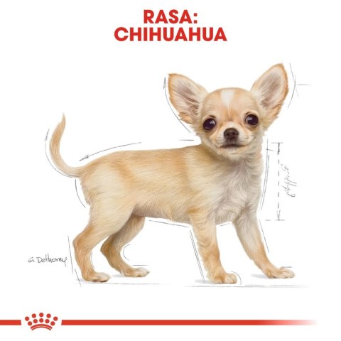 Royal Canin ROYAL CANIN Chihuahua Puppy 500g