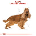 Royal Canin ROYAL CANIN Cocker Spaniel Adult 12kg