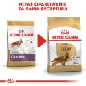 Royal Canin ROYAL CANIN Cocker Spaniel Adult 12kg