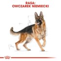 Royal Canin ROYAL CANIN German Shepherd Adult 11kg