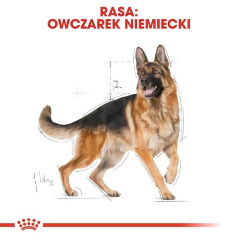 Royal Canin ROYAL CANIN German Shepherd Adult 11kg