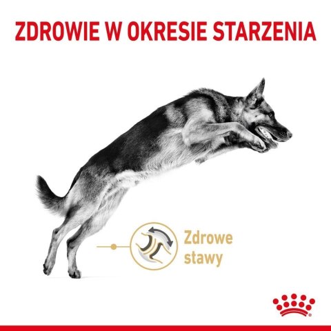 Royal Canin ROYAL CANIN German Shepherd Adult 5+ 12kg