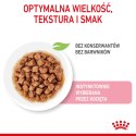 Royal Canin ROYAL CANIN Kitten Instinctive W Sosie 12x85g