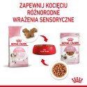 Royal Canin ROYAL CANIN Kitten Instinctive W Sosie 12x85g
