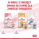 Royal Canin ROYAL CANIN Kitten Instinctive W Sosie 12x85g