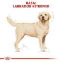 Royal Canin ROYAL CANIN Labrador Retriever Adult 12kg
