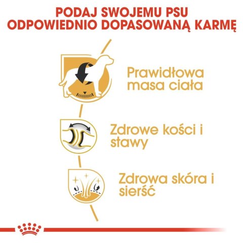 Royal Canin ROYAL CANIN Labrador Retriever Adult 12kg