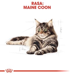 Royal Canin ROYAL CANIN Maine Coon Adult 10kg