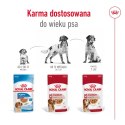 Royal Canin ROYAL CANIN Medium Adult 10x140g