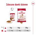 Royal Canin ROYAL CANIN Medium Adult 10x140g