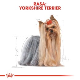 Royal Canin ROYAL CANIN Yorkshire Terrier Adult 3kg
