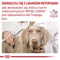 Royal Canin weterynaria ROYAL CANIN Hypoallergenic 400g