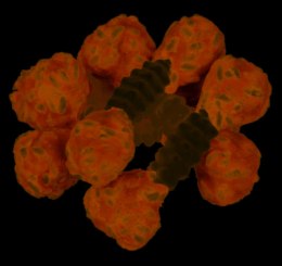 Trixie Trixie Denta Fun Przysmak Hantel 100g 6szt