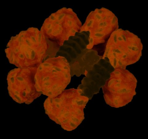 Trixie Trixie Denta Fun Przysmak Hantel 100g 6szt