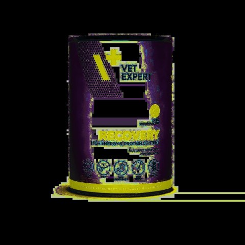 VETEXPERT VETEXPERT Veterinary Diet Recovery 400g