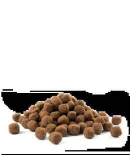 Versele-Laga Versele-Laga Opti Life Adult Medium Z Kurczakiem I Ryżem 12,5kg