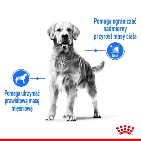 Royal Canin ROYAL CANIN CCN Maxi Light Weight Care 12kg