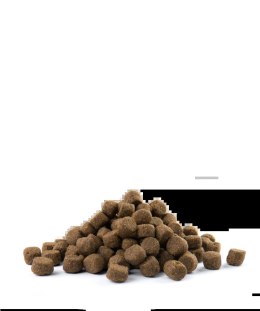 Versele-Laga Versele-Laga Opti Life Adult Digestion Medium&Maxi Jagnięcina Z Ryżem 12,5kg